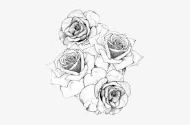 The roses are colored with a deep dark red shade of ink. Stumblr Static Black White Roses Tattoo Rose Arm Tattoo Stencils Free Transparent Png Download Pngkey