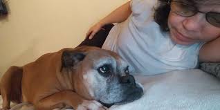 Honoring a special pet who is no longer with you