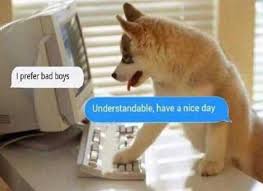 Dopl3r Com Memes I Prefer Bad Boys Understandable Have A Nice Day