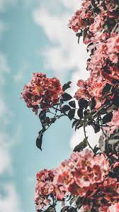 How to download your girly iphone wallpapers. 25 Super Pretty Iphone Xs Wallpapers Preppy Wallpapers Flower Iphone Wallpaper Aesthetic Iphone Wallpaper Preppy Wallpaper