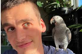 Change in Ontario Planning Regulations Could Kill Millions of Birds Along  the Atlantic Flyway