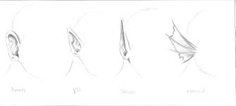 Fantasy Ears Reference By Mewsakura17 On Deviantart This elf drawing tutorial is also good for symmetry drawing practice. deviantart