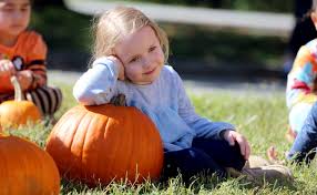 Glue the real stem in place, filling any gaps. April A Good Time To Consider Planting Pumpkins In West Texas