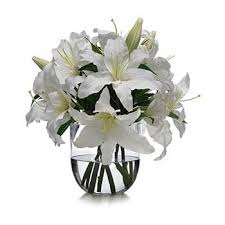 Keli flowers come in a number of different colors but are generally bright orange, yellow or even red. Flower Delivery Ga Kgapane Online Florist Ga Kgapane