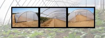 The best greenhouse kit is one that fits your needs and your pocketbook. Diy Greenhouse Kits Posts Facebook