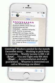 Finding seasonal work in australia (fruit picking jobs and other farm work) is very easy, provided you don't have a problem with sweating and getting your hands dirty! Undercover Malaysian Journalist Exposes Good Paying Fruit Picking Jobs In Australia World Of Buzz