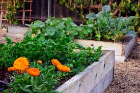 When you're faced with very little space for vegetable, herb or flower gardens, you may have wondered how to set up a planter box garden. 10 Tips For Successful Raised Bed Gardening