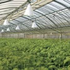 This spectrum is mostly used for vegetative growing stages, which require a higher blue spectrum to promote bushy growth habits and. Greenhouse Miyazaki Uses Eye Metal Halide And Eye Hps Lamps To Maintain Download Scientific Diagram