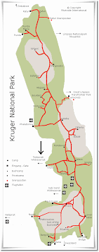 Check spelling or type a new query. Tanda Tula Game Reserve Kruger National Park