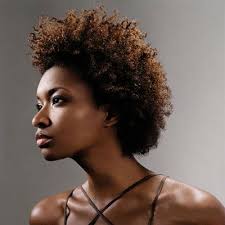 A hot collection of african american short natural hairstyles that cover everything from twist, braids and big chops. The African American Natural Hairstyle Chronicles