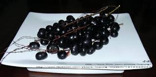 Image result for Lepisanthes