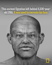 Sealed inside a ceramic funerary pot for over 4,500 years, an ancient  Egyptian man's skeleton has revealed a surprising secret: his exceptionally  well-preserved DNA. It's the first time scientists have been able