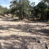 Cave Creek Canyon Trail #149, Arizona