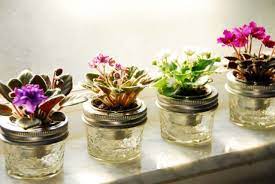 Mini Wick Pot Solution Found African Violets Forum Gardenweb African Violets Plants African Violet Pots African Violets