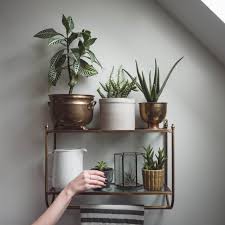 Most of us know that bookshelves are good for more than just books. 25 Indoor Garden Ideas