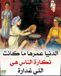 Desertrose Exactly Cartoon Quotes Funny Arabic Quotes Arabic Quotes
