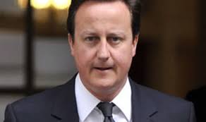 You do the fighting, I'll do the talking David Cameron tells military