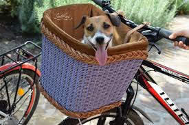This Item Is Unavailable Etsy Dog Bike Basket Dog Bike Carrier Biking With Dog
