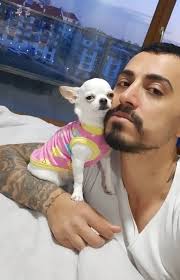 12 year old dog having nighttime accidents in house