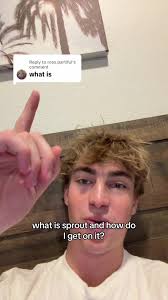 معنى كلمة Sprouts