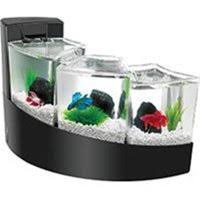 For what it's worth, those pictures of bettas on that image are deceiving. Aqueon Betta Fish Walmart Canada