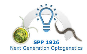 Vi brinner för att göra tjänstepension enkelt för både privatpersoner och företag. Dfg Schwerpunktprogramm Spp 1926 Next Generation Optogenetics Dfg Schwerpunktprogramm Spp 1926 Next Generation Optogenetics