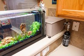 How To Setup A Paintball Co2 System For Your Planted Aquarium Spec Tanks