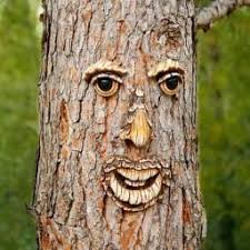 Gartendeko Baumgesicht Karl Kiefer Baum Gesichter Baumdeko Garten Deko