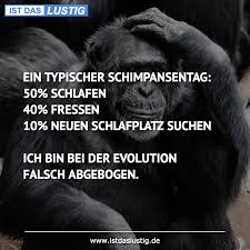 Lustige Spruche Zum Schmunzeln Und Teilen Auf Istdaslustig De