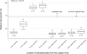 Image result for Brachystegia longifolia
