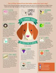 Free Report 10 Common Foods That Can Be Lethal To Your Dog Simplewag Toxic Foods For Dogs Toxic Foods Dog Food Recipes