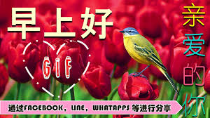 Facebook is showing information to help you better understand the purpose of a page. Amazon Com Good Morning Gifs With The Best Wishes In Chinese Apps Games