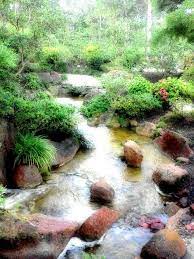 Morikami Japanese Gardens Boca Raton Florida Japanese Garden Florida Mother Nature