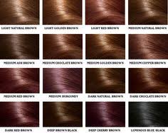 28 albums of paul mitchell red brown hair color explore