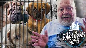Последние твиты от zoo zajac (@zoo_zajac). Hundeverkauf Im Zooladen Wieso Geht Das Norberts Welt Zoo Zajac Youtube