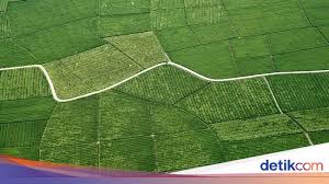 Maybe you would like to learn more about one of these? Mengapa Indonesia Disebut Negara Agraris Ini Penjelasannya