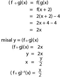 Maka dari itu anda harus mengetahui bagaimanakah caranya untuk mencari bug host yang masih aktif terlepas dari operator mana yang anda pilih. Cara Menghitung Nilai Suatu Fungsi Komposisi Dan Fungsi Invers Myrightspot Com