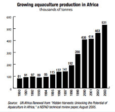Africa Starts A Fishing Revolution Africa Renewal