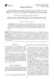 Image result for Millettia usaramensis