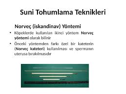 Kopek Ve Kedilerde Suni Tohumlama Teknikleri Akademik Sunum