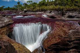 Caño cristales, auch bekannt als the river of five colors, oder liquid rainbow ist definitiv einer der schönsten flüsse der welt. Cano Cristales In Kolumbien Das Ist Der Schonste Fluss Der Welt