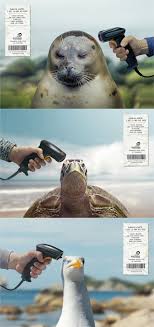 Initiatives Oceanes Advertising Advertising Animals Green