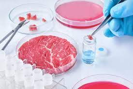 We did not find results for: 10 990 Cell Culture Photos Free Royalty Free Stock Photos From Dreamstime