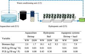 Water Quality Water Usage Nutrient Use Efficiency And Growth Of Shrimp Litopenaeus Vannamei In An Integrated Aquaponic System With Basil Ocimum Basilicum Sciencedirect