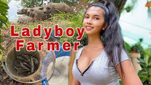 Ladyboy Farmer. Catching fish from the pond in our farm - YouTube