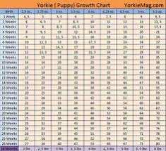 8 Best Puppy Growth Chart Images Cute Animals Dogs Cute Dogs