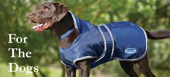 1,381 dog horse blanket products are offered for sale by suppliers on alibaba.com, of which horse rugs accounts for 1%, saddle pads accounts for 1%. Dog Coats Collars And Leashes