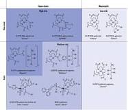Gadolinium - an overview | ScienceDirect Topics