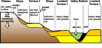 Pdf | soil is a most outer soft most layer of the earth, formed by different process which is generally called formation of soil. Soil Formation