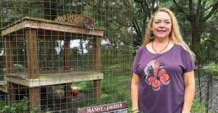 May 15, 2021 · carole baskin, the owner of big cat rescue, has maintained her innocence. Carole Baskin Now Where Is Carole Baskin In 2020 After Tiger King